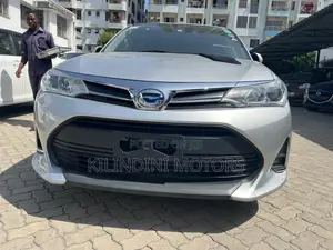 Toyota Corolla Fielder 2018 Silver