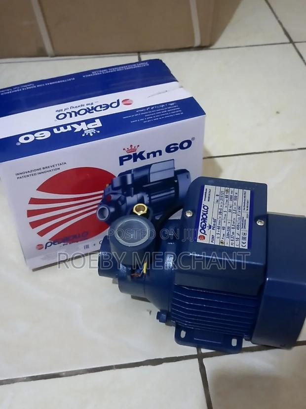 0.5hp Pedrollo Water Pump/Electric Pedrollo Water Pump