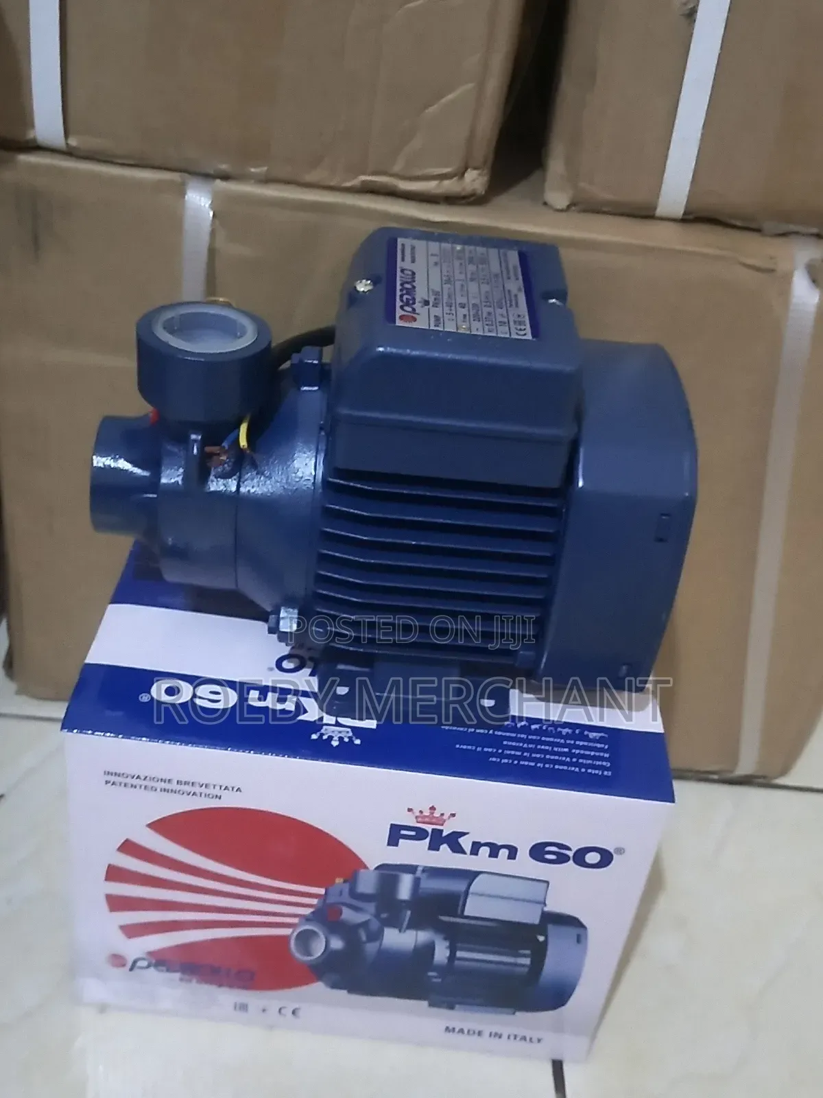 High Efficiency Pedrollo Water Pump Pkm60