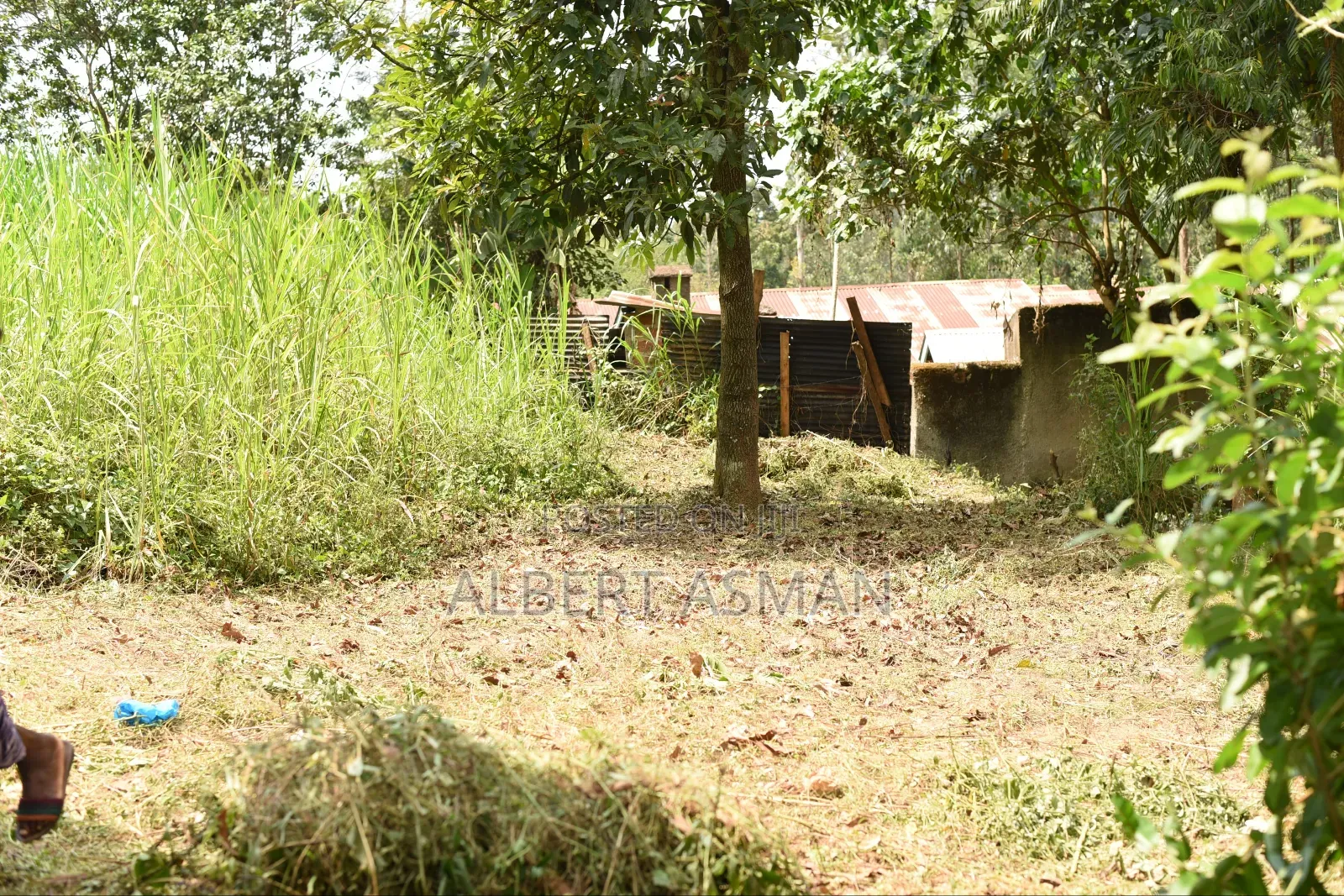 Prime Land, Kakamega Town