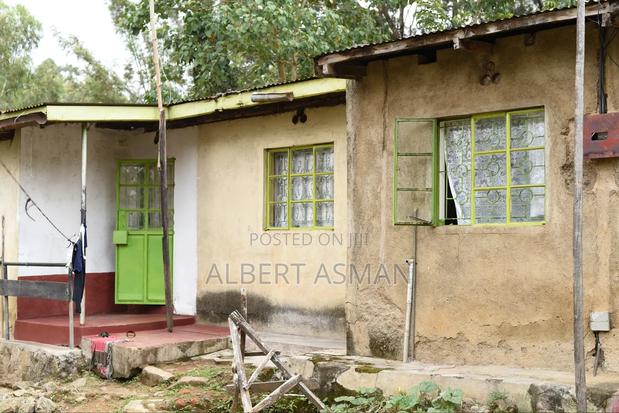 Prime Land, Kakamega Town - thumbnail 6