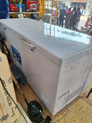 Deep Fleezer 700ltr
