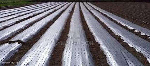 Superior Mulch Film for Healthier Plants!