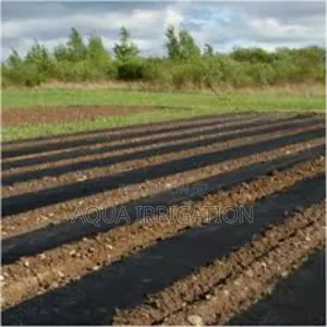 Eco-Friendly Mulch Film – Grow Smarter!