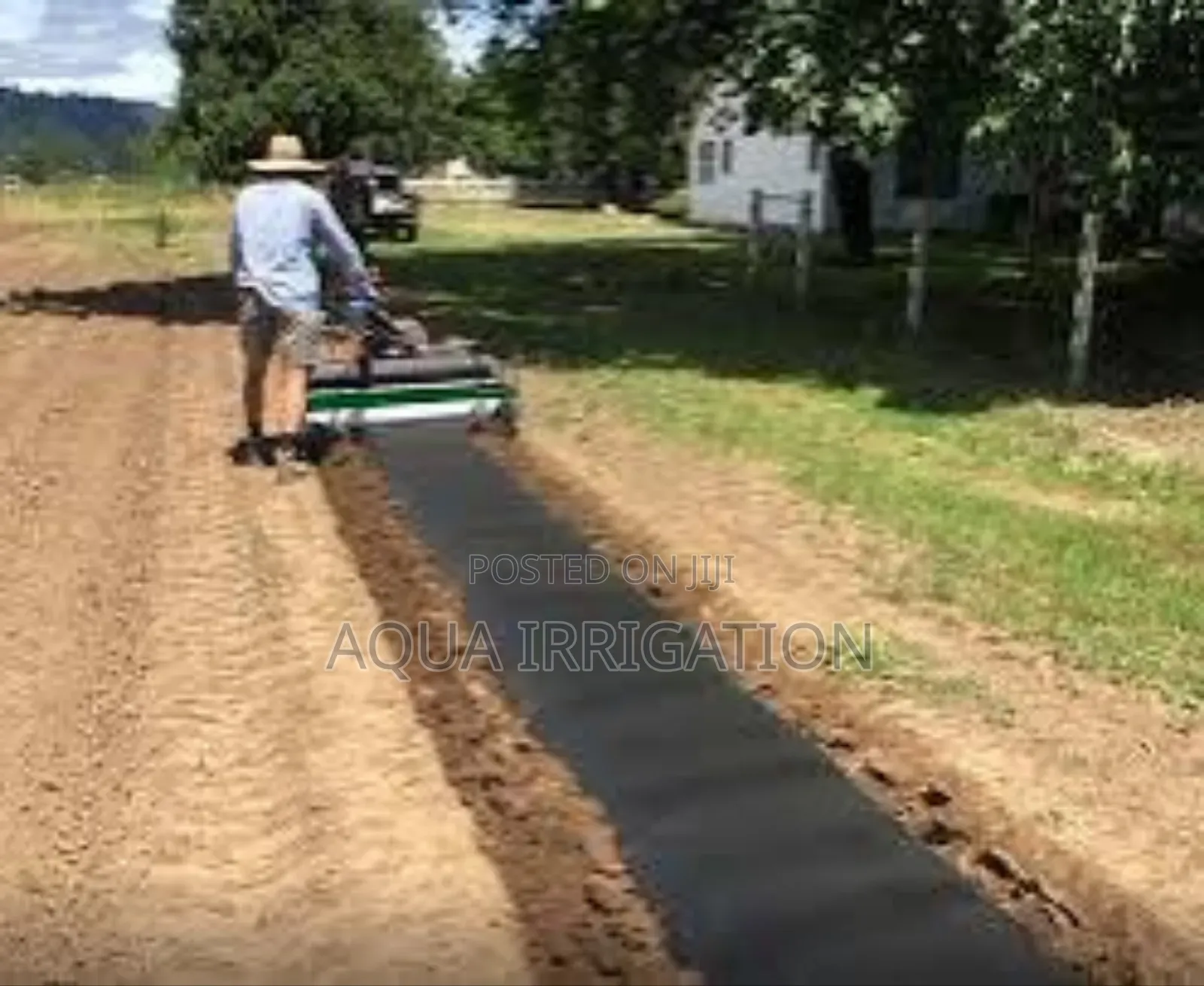 Protect Crops From Pests With Mulch Film