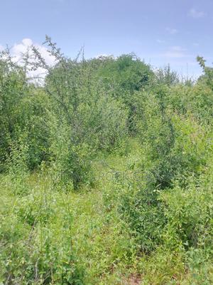 46 Acres With Title - thumbnail 2