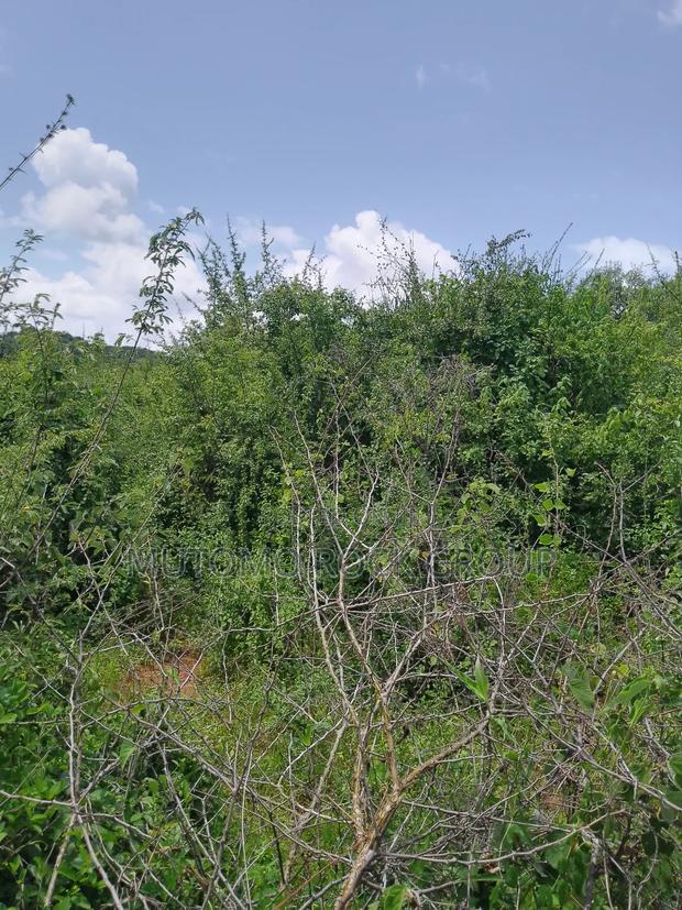 46 Acres With Title - thumbnail 3