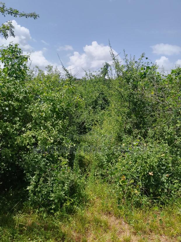 46 Acres With Title - thumbnail 4