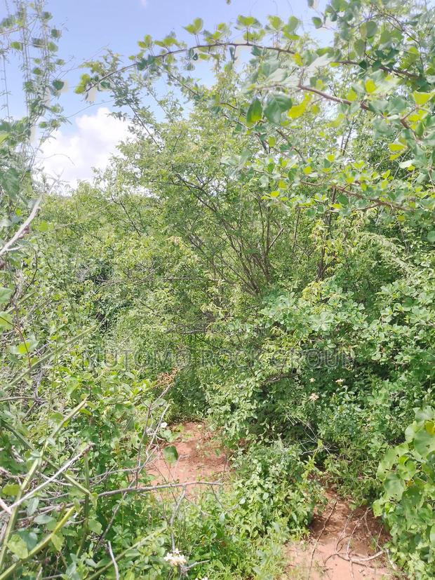 46 Acres With Title - thumbnail 6