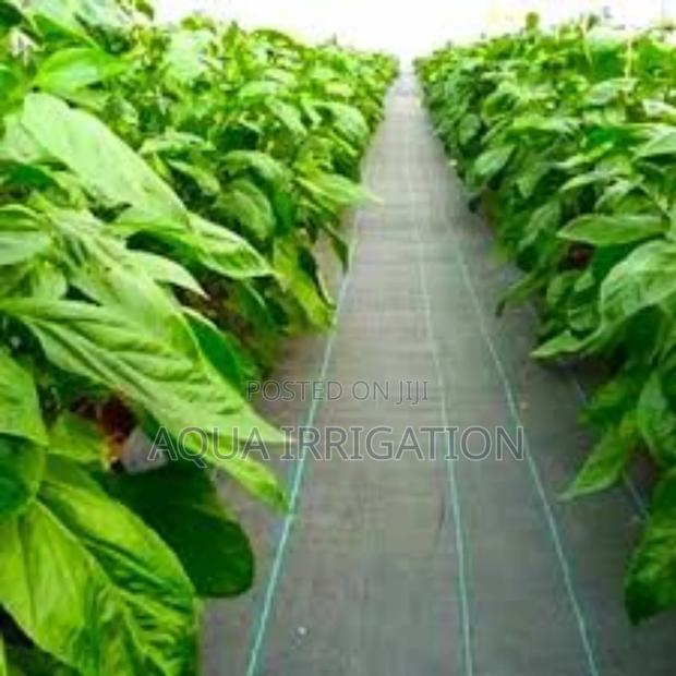 Sun-Blocking Mulch Film for Healthier Plants