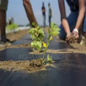 Mulch Film Paper for All Crops Seasons!