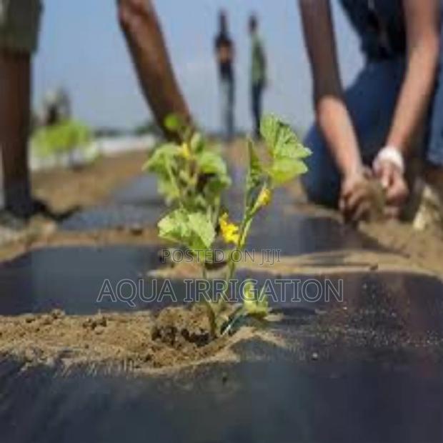 Mulch Film Paper for All Crops Seasons!