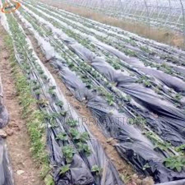 Keep Soil Moist Healthy With Mulch Film
