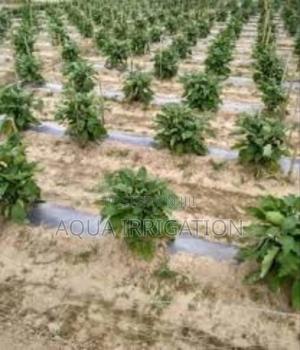 Protect Roots Improve Growth With Mulch - thumbnail 2