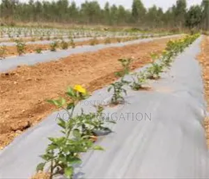 Quality Mulch Film for Top-Notch Farming