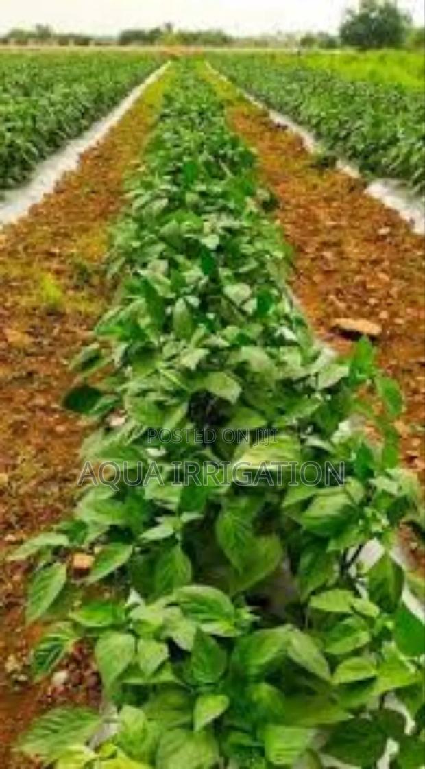 Moisture Locking Mulch Film for Success