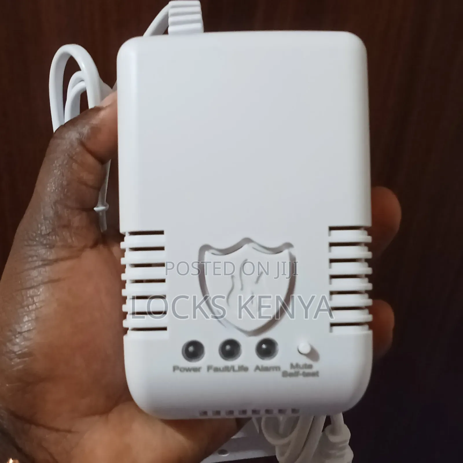Portable Gas Detector and Alarm