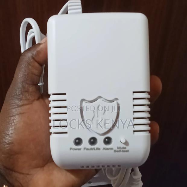 Portable Gas Detector and Alarm