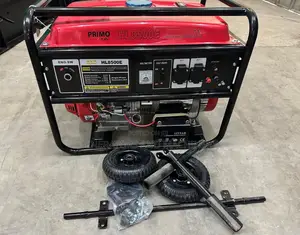 Electric Start Generator