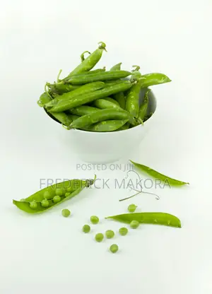 Minji/Green Peas