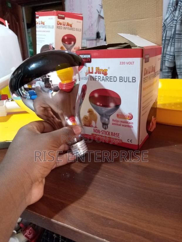 Tronic Infrared Chicken Bulb
