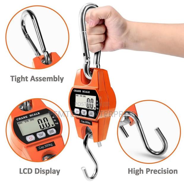 300kg Industrial Crane Scale - main view