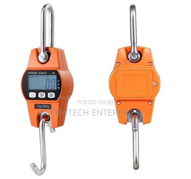 300kg Industrial Crane Scale - thumbnail 2