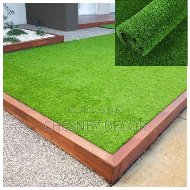 Frontyard Turf