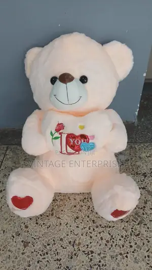 60cm Ted Bear/ Teddy Bear