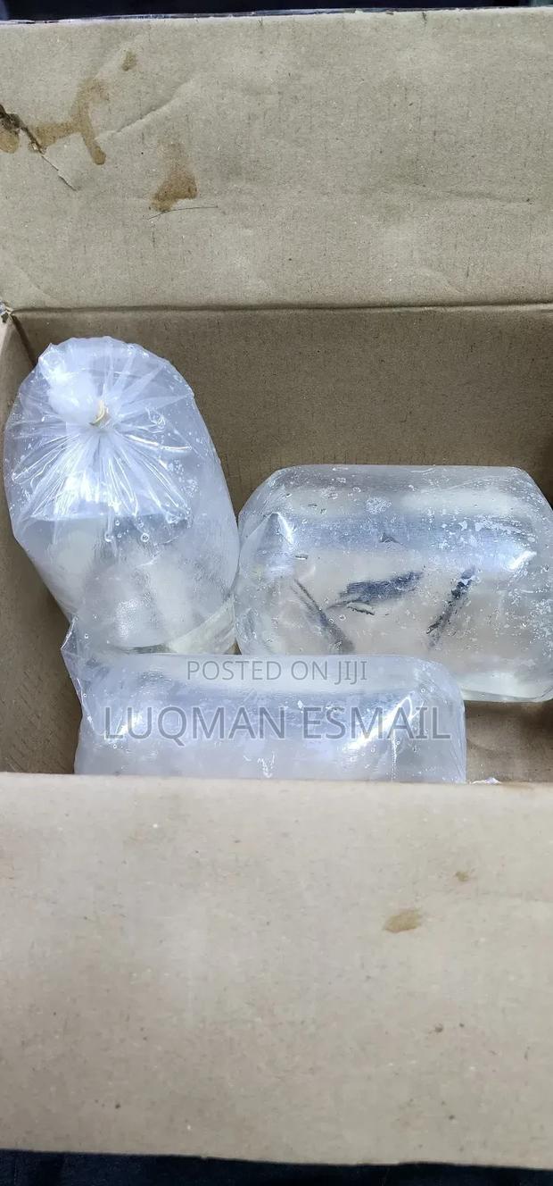 Live Fish Transporters - main view