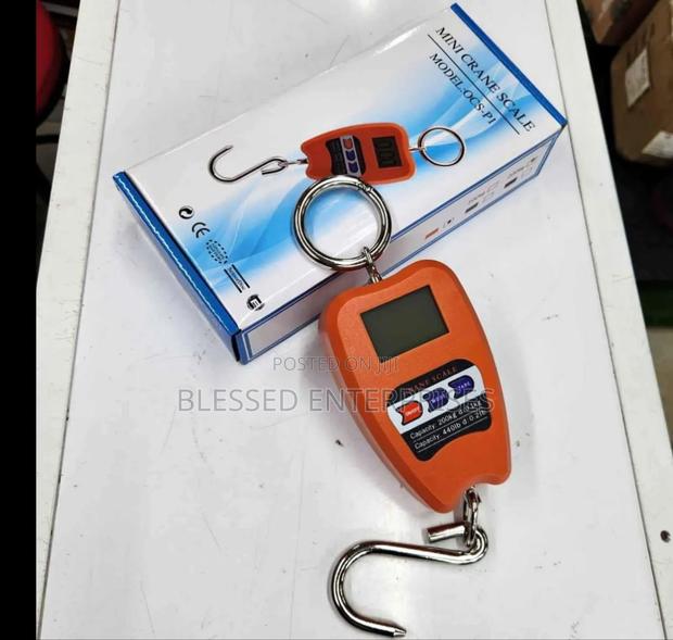 200kgs Crane Scale/ 200kgs Weighing Scale