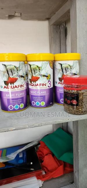 Fish Foood - thumbnail 2