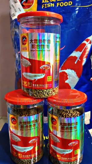 Koi Pallets - thumbnail 2