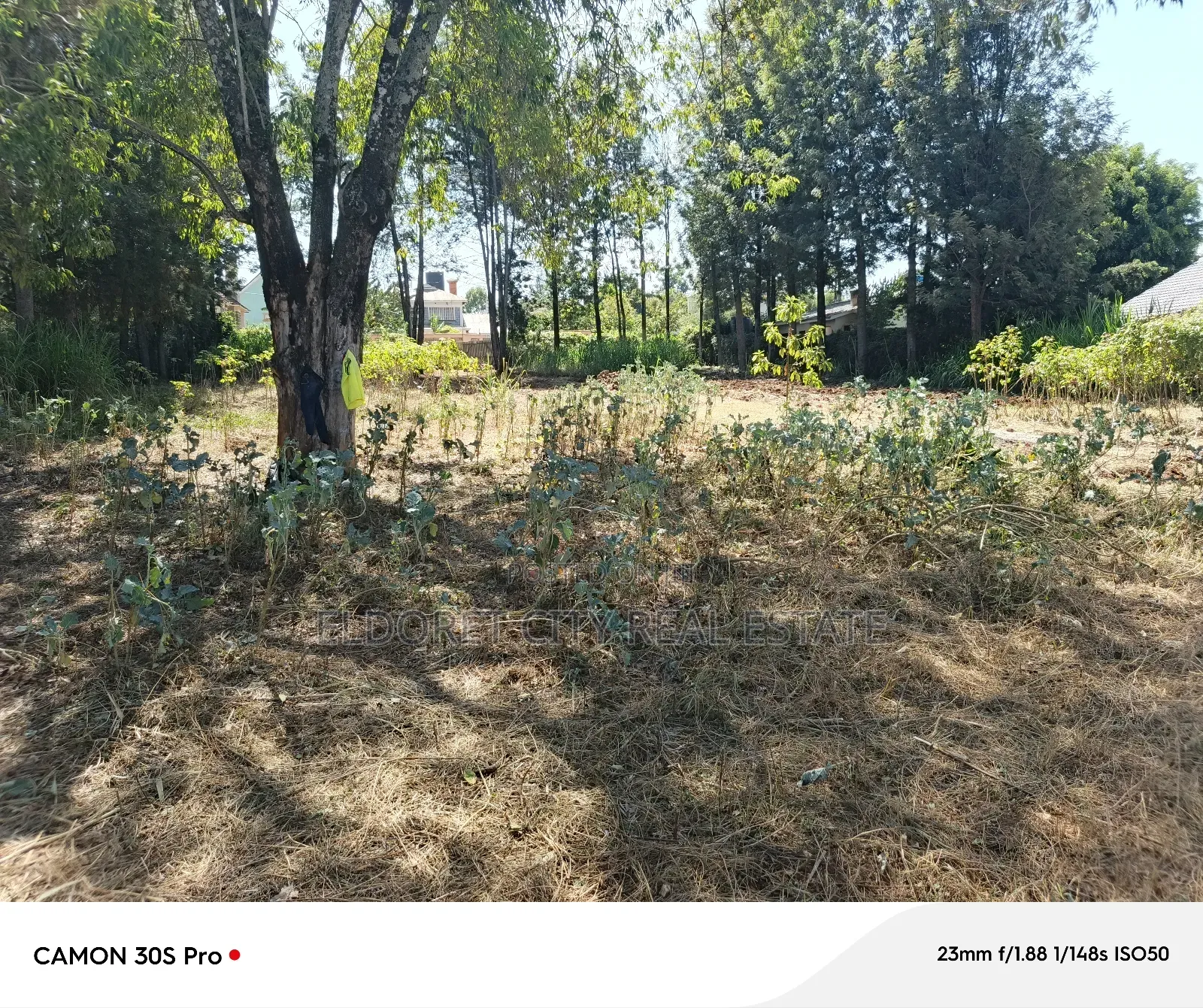 1/2 Acre Lower Elgonview With Title.