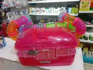 Plastic Hamster Cage and Hamster Cage Accessories - thumbnail 2