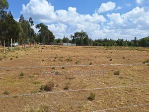 Exceptional Property Available for Purchase - thumbnail 2