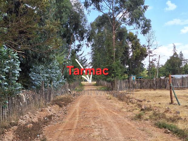 Exceptional Property Available for Purchase - thumbnail 3