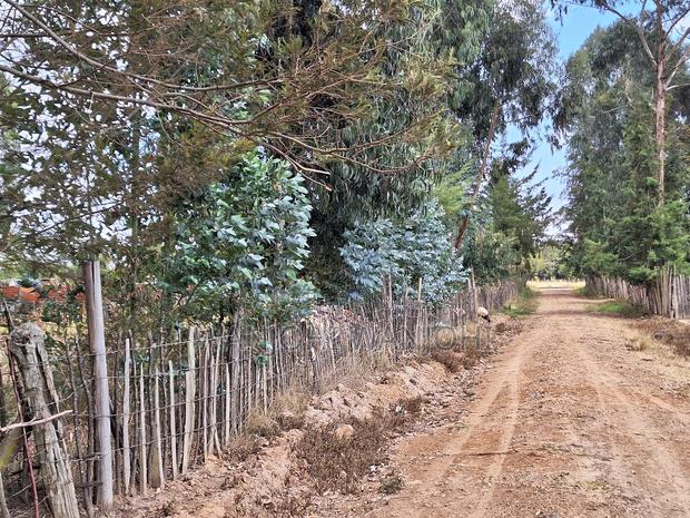 Exceptional Property Available for Purchase - thumbnail 4