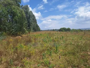 Exclusive Real Estate Listing