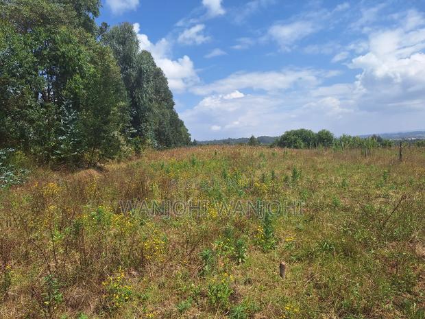 Exclusive Real Estate Listing - thumbnail 3