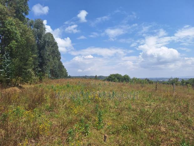 Exclusive Real Estate Listing - thumbnail 4