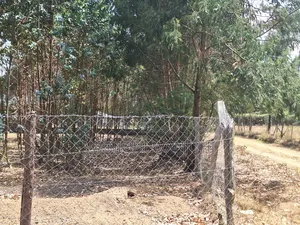 Hottest Plots in Nyandarua Currently