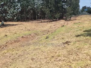 Hottest Plots in Nyandarua Currently