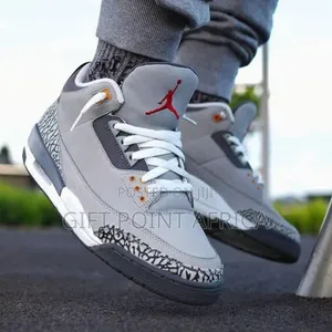 Jordan 3 Cool Grey Sneakers