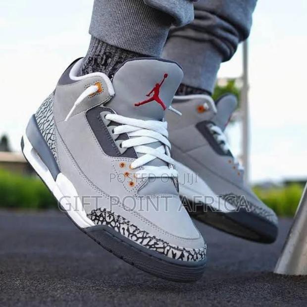 Jordan 3 Cool Grey Sneakers