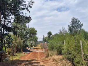 Premium Properties in Nyahururu