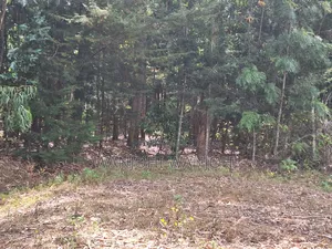 Premium Properties in Nyahururu