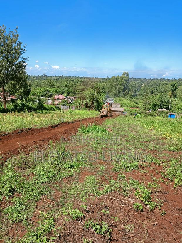 Baraka Gardens - main view