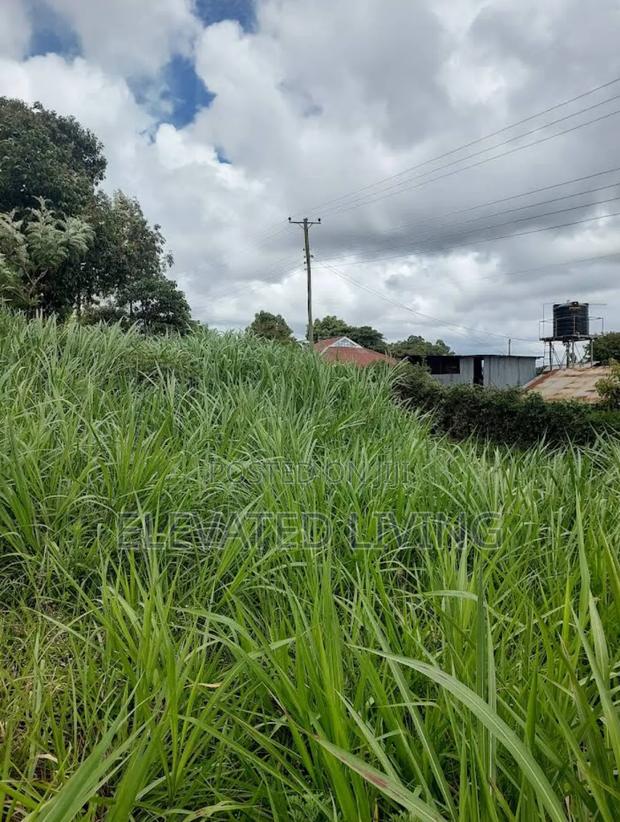 Baraka Gardens - thumbnail 4