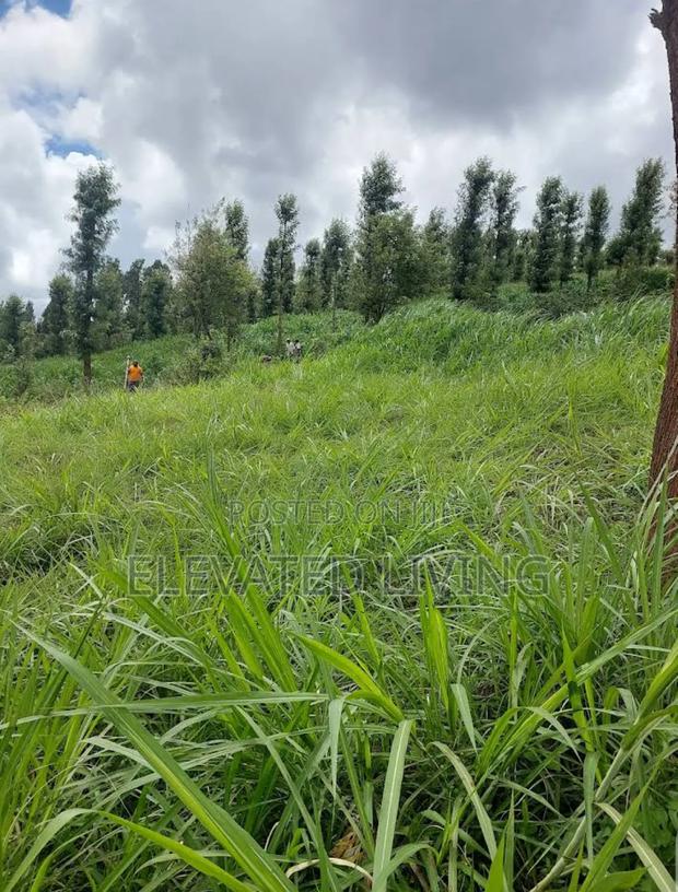 Baraka Gardens - thumbnail 5